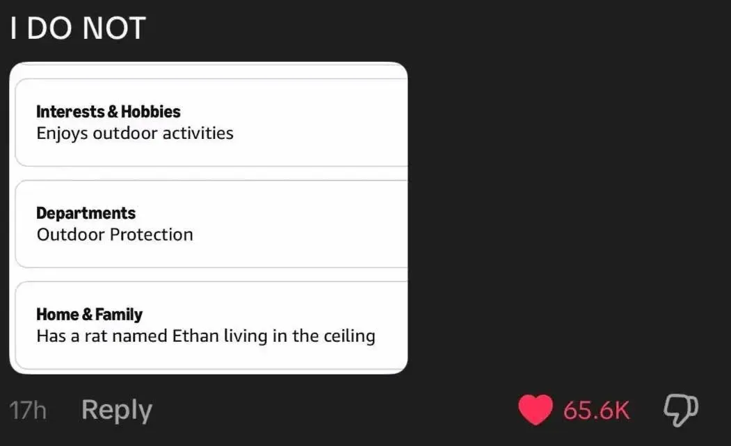 Screenshot of a comment from a TikTok video, captured October 8th, 2026.